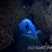 cave_mal_si_h_0064_egy4091.jpg